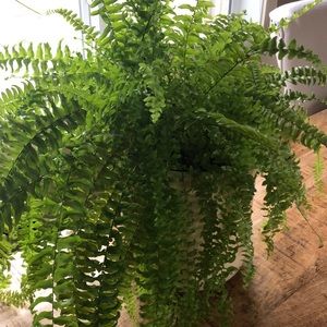 Meet your Posher, Christie